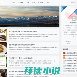 网站截图