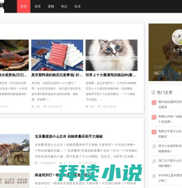 网站截图